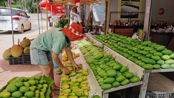 永德县山虹养殖场：生态养殖助力乡村振兴