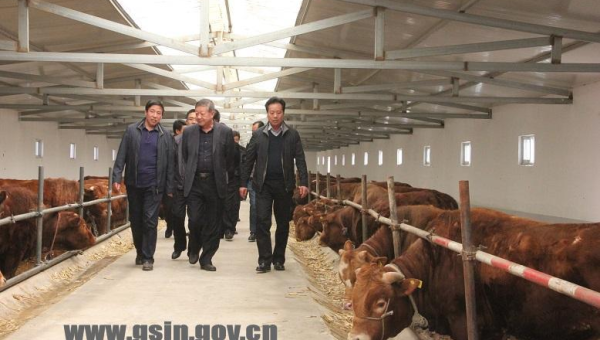 永登县龙泉龙欣养殖场：绿色生态养殖的典范之路